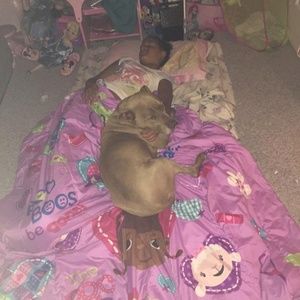 Meet your Posher, Peggy